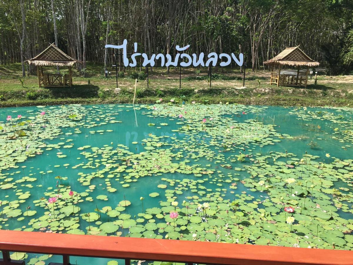 ไร่นาบัวหลวง คาเฟ่ & ฟาร์มสเตย์ Raina Bualuang Cafe & Farm Stay Ban Na No Exterior foto