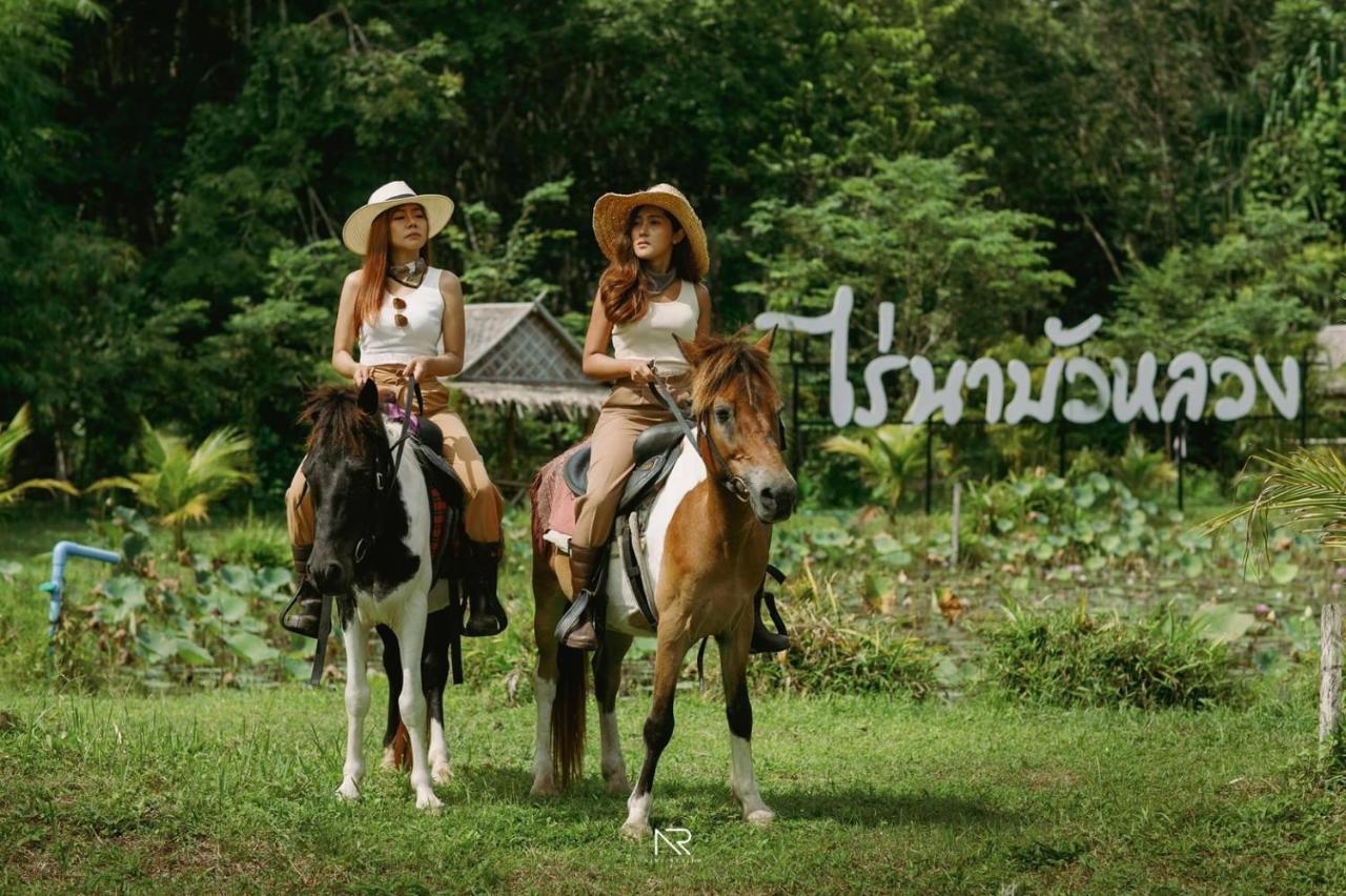 ไร่นาบัวหลวง คาเฟ่ & ฟาร์มสเตย์ Raina Bualuang Cafe & Farm Stay Ban Na No Exterior foto