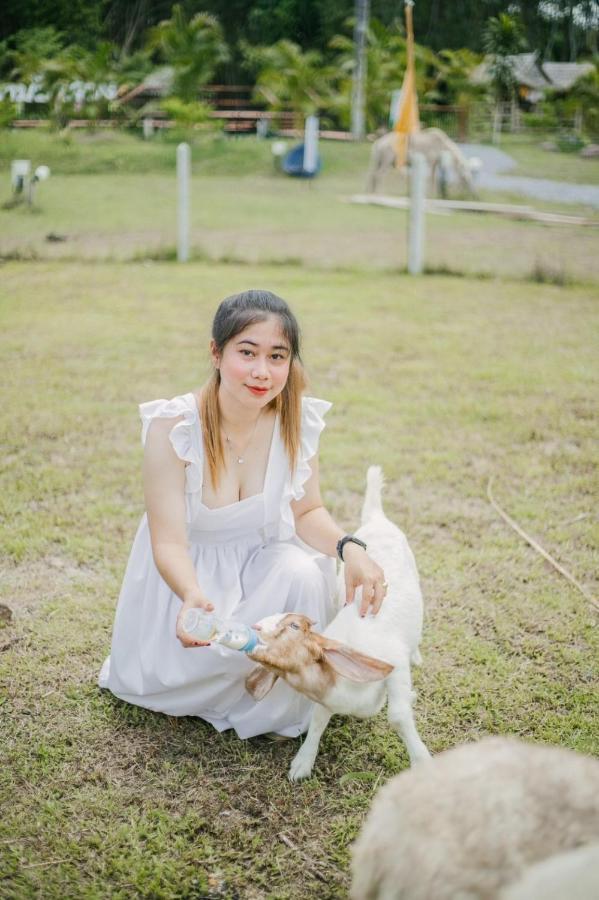 ไร่นาบัวหลวง คาเฟ่ & ฟาร์มสเตย์ Raina Bualuang Cafe & Farm Stay Ban Na No Exterior foto