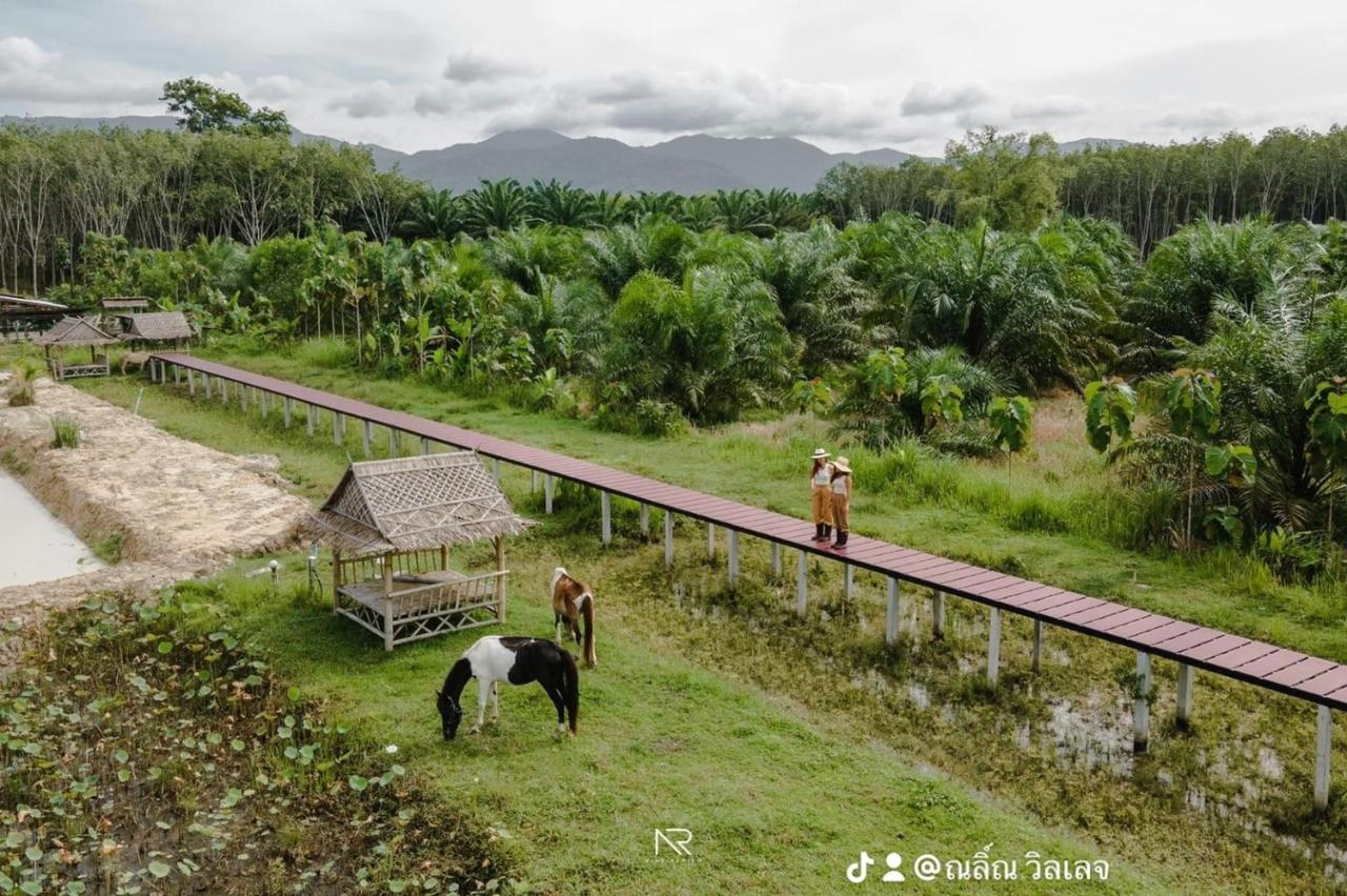 ไร่นาบัวหลวง คาเฟ่ & ฟาร์มสเตย์ Raina Bualuang Cafe & Farm Stay Ban Na No Exterior foto