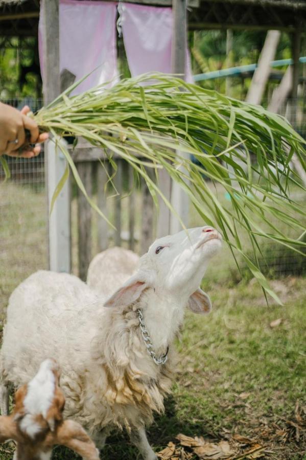 ไร่นาบัวหลวง คาเฟ่ & ฟาร์มสเตย์ Raina Bualuang Cafe & Farm Stay Ban Na No Exterior foto