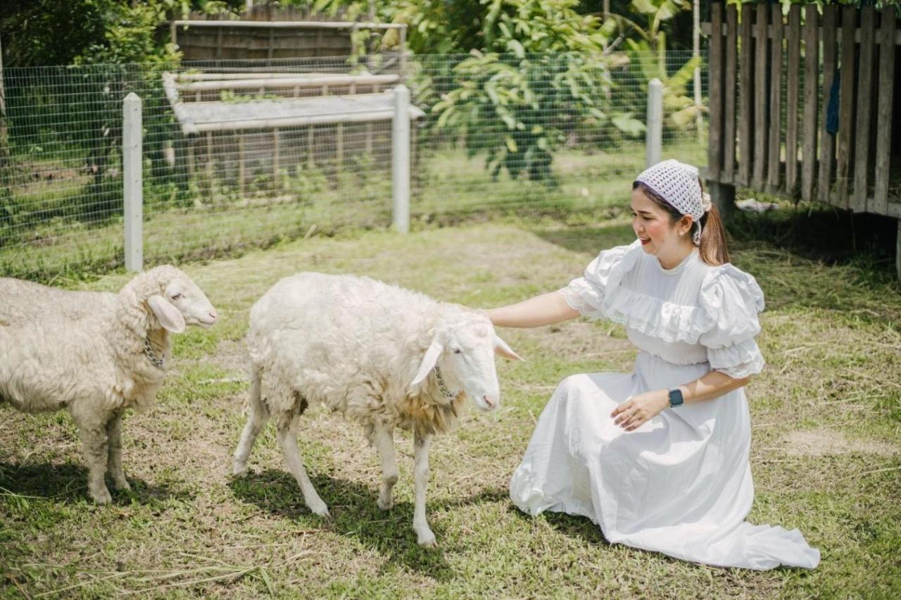 ไร่นาบัวหลวง คาเฟ่ & ฟาร์มสเตย์ Raina Bualuang Cafe & Farm Stay Ban Na No Exterior foto