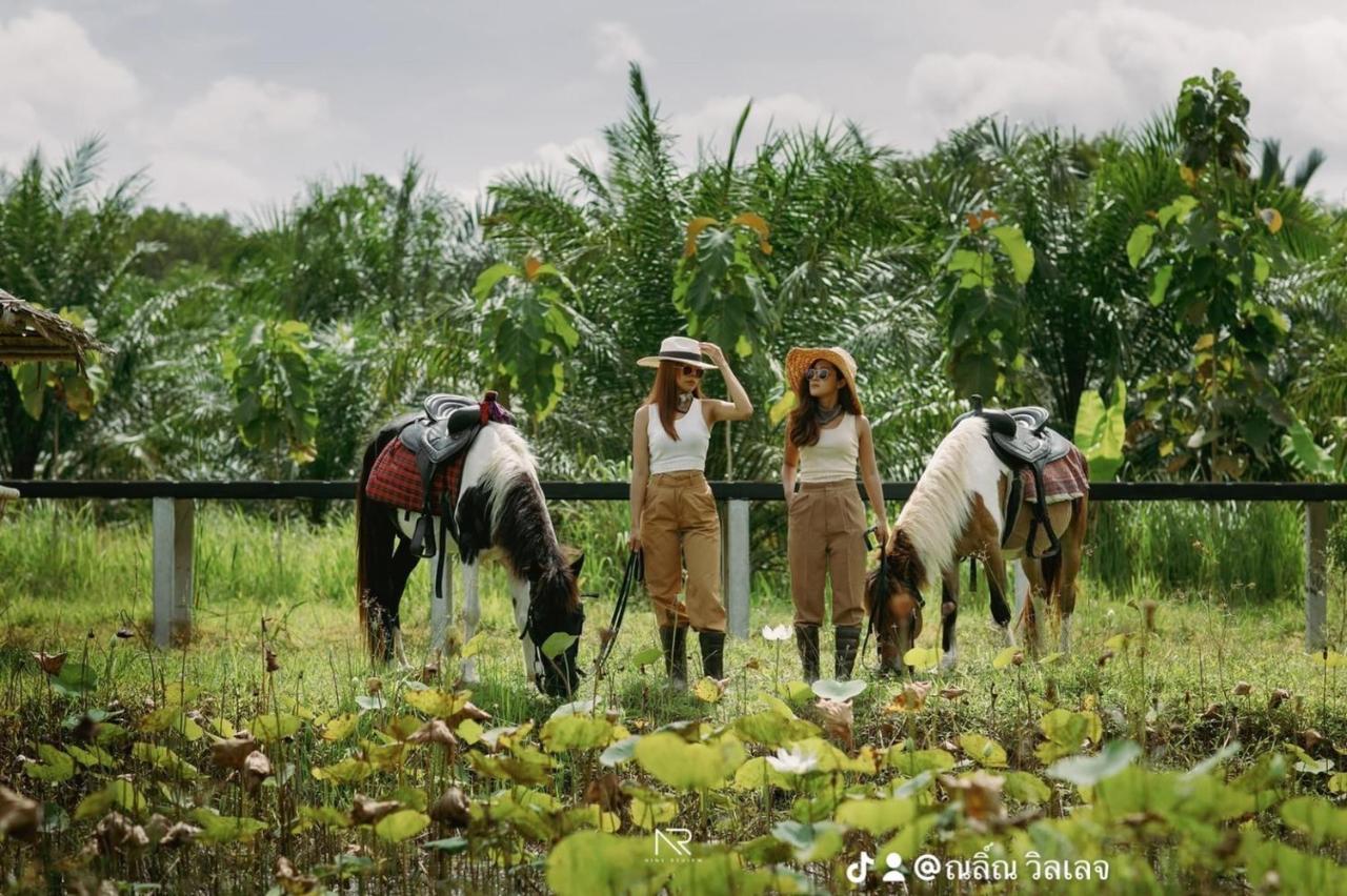 ไร่นาบัวหลวง คาเฟ่ & ฟาร์มสเตย์ Raina Bualuang Cafe & Farm Stay Ban Na No Exterior foto