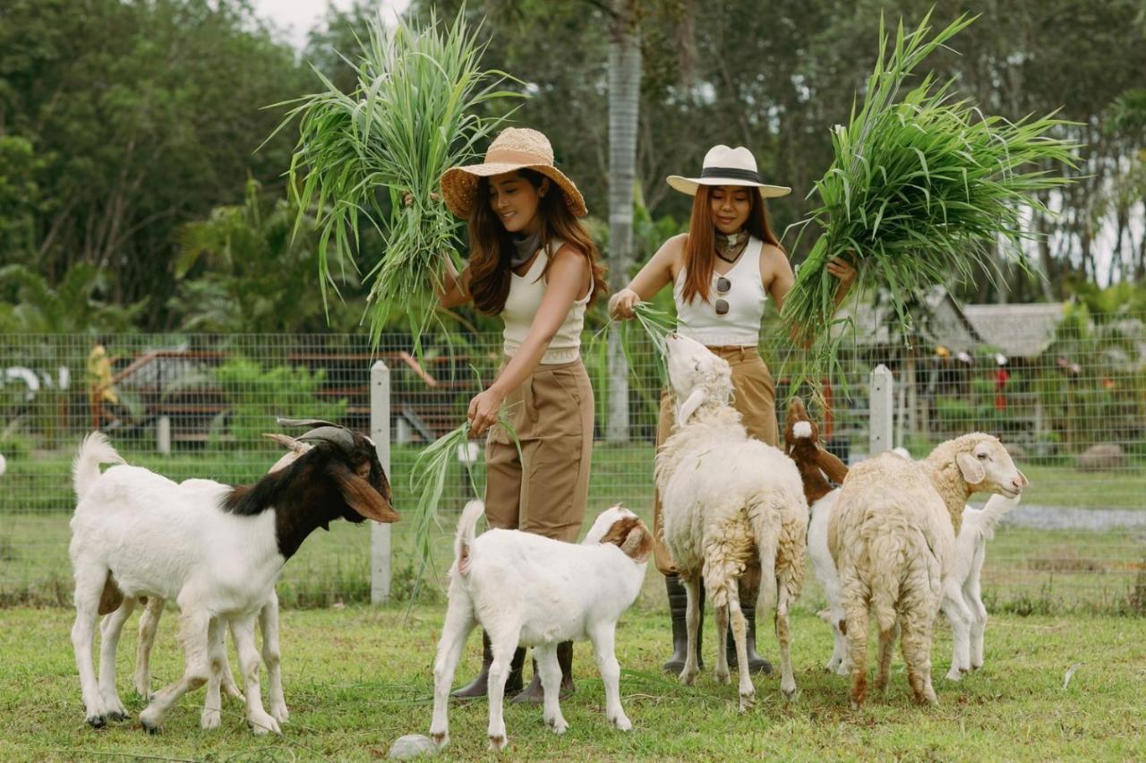 ไร่นาบัวหลวง คาเฟ่ & ฟาร์มสเตย์ Raina Bualuang Cafe & Farm Stay Ban Na No Exterior foto